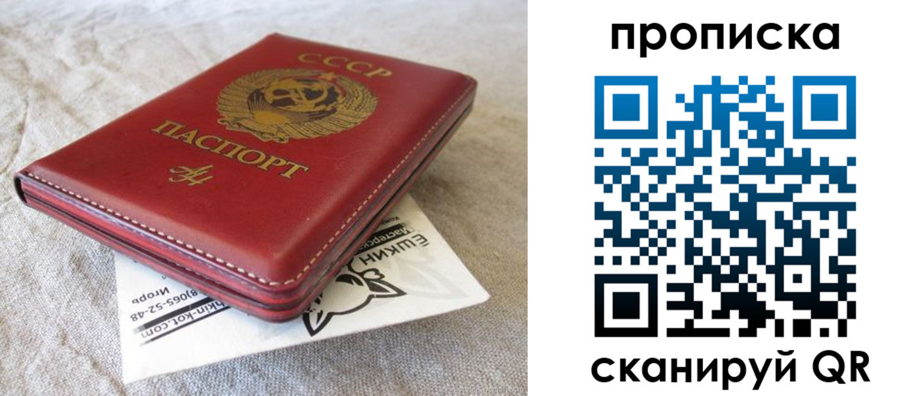 прописка для школы в Орле